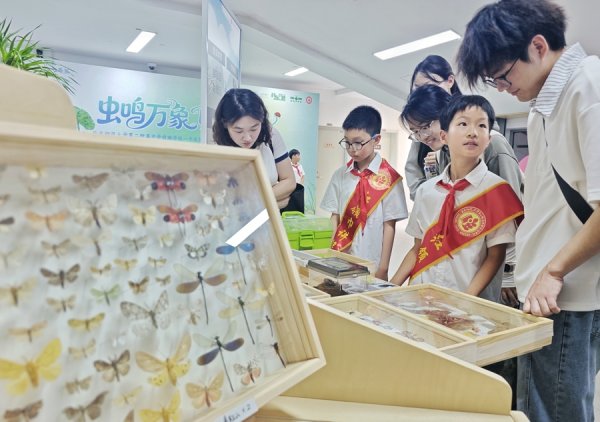 世界杯全球運動用品供應平臺 不單在屏幕上看蟲鳴——這所學校的