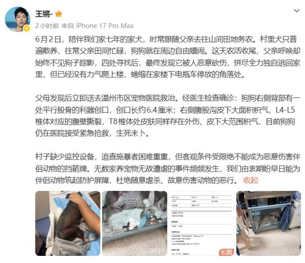 世界杯全球運動用品供應平臺 演員王鏘大怒發文：養了7年的愛犬