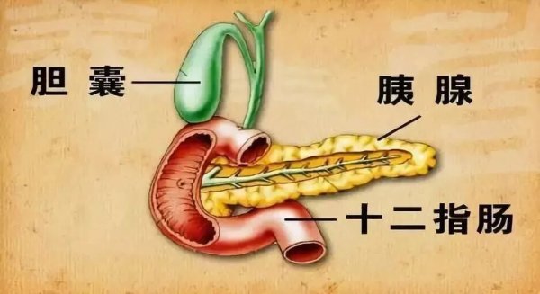 世界杯下單平臺 25歲女子“餓6天吃1天”，一個月瘦15斤！