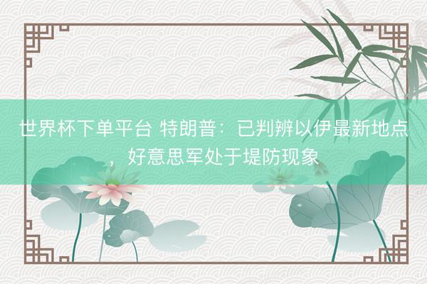 世界杯下單平臺 特朗普：已判辨以伊最新地點，好意思軍處于堤防現象