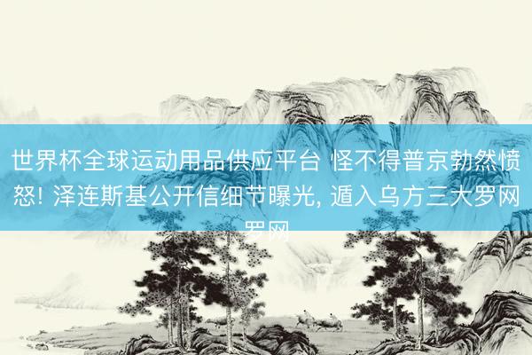 世界杯全球運(yùn)動(dòng)用品供應(yīng)平臺(tái) 怪不得普京勃然憤怒! 澤連斯基公開信