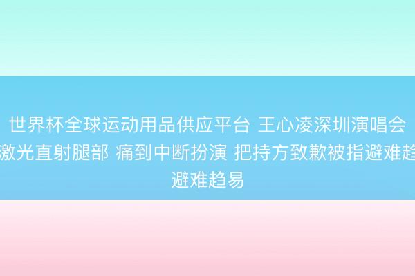 世界杯全球運動用品供應平臺 王心凌深圳演唱會遭激光直射腿部 